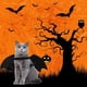 thumbnail image 5 of Disfraz de perro de Halloween, disfraz de mascota con alas de murciélago para perros pequeños, medianos y grandes MFZFUKR CPB-CJZ40-1, 5 of 5