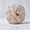 03, variant on Warm-toned autumn/winter new arrivals: variegated cotton yarn for DIY crochet scarves, sweaters, and colorful patterns.