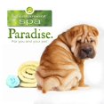 thumbnail image 4 of Champú de aseo para mascotas Best Shot Scentament Spa Oatmeal 3.78 L, 4 of 5