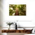 thumbnail image 3 of Elephant Stock Waipoua Kauri Trees Wall Art - Horizontal Canvas Wall Art - Living Room Wall Decor - Floral And Botanical Canvas - Green And Gray Decor - 30" x 20", 3 of 8