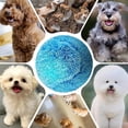 thumbnail image 6 of Rectionrae Active Rolling BallActive Rolling Ball Anti-Anxiety Automatic Moving Balls Interactive Dog Toys for Puppy Small Medium Dogs 1SET, 6 of 6