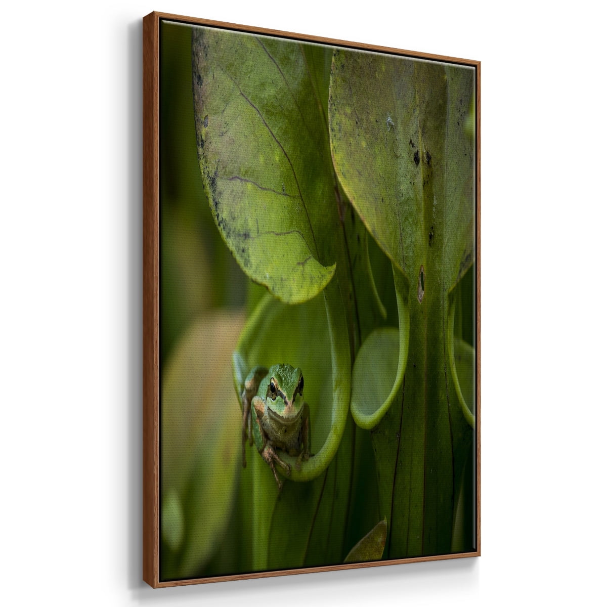 Arboreal Refuge Framed Premium Gallery Wrapped Canvas - Ready to Hang