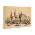 thumbnail image 3 of Stupell Industries Cactus Desert Vintage Landscape Canvas Wall Art, design by Petal Prints Design, 3 of 7