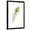 Black Frame, variant on Art.com Watercolor Peacock Feather II Stretched Canvas Print Wall Art by Ethan Harper, 12" x 18"