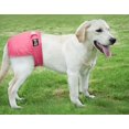 thumbnail image 4 of Paquete de 3 pañales reutilizables para perros, duraderos y lavables, con velcro fuerte y flexible (M) brillar Electrónica, 4 of 5