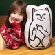 thumbnail image 2 of Muñecos de peluche de 45 cm PENGJTMXG gato verde suave Almohada de gato, 2 of 5