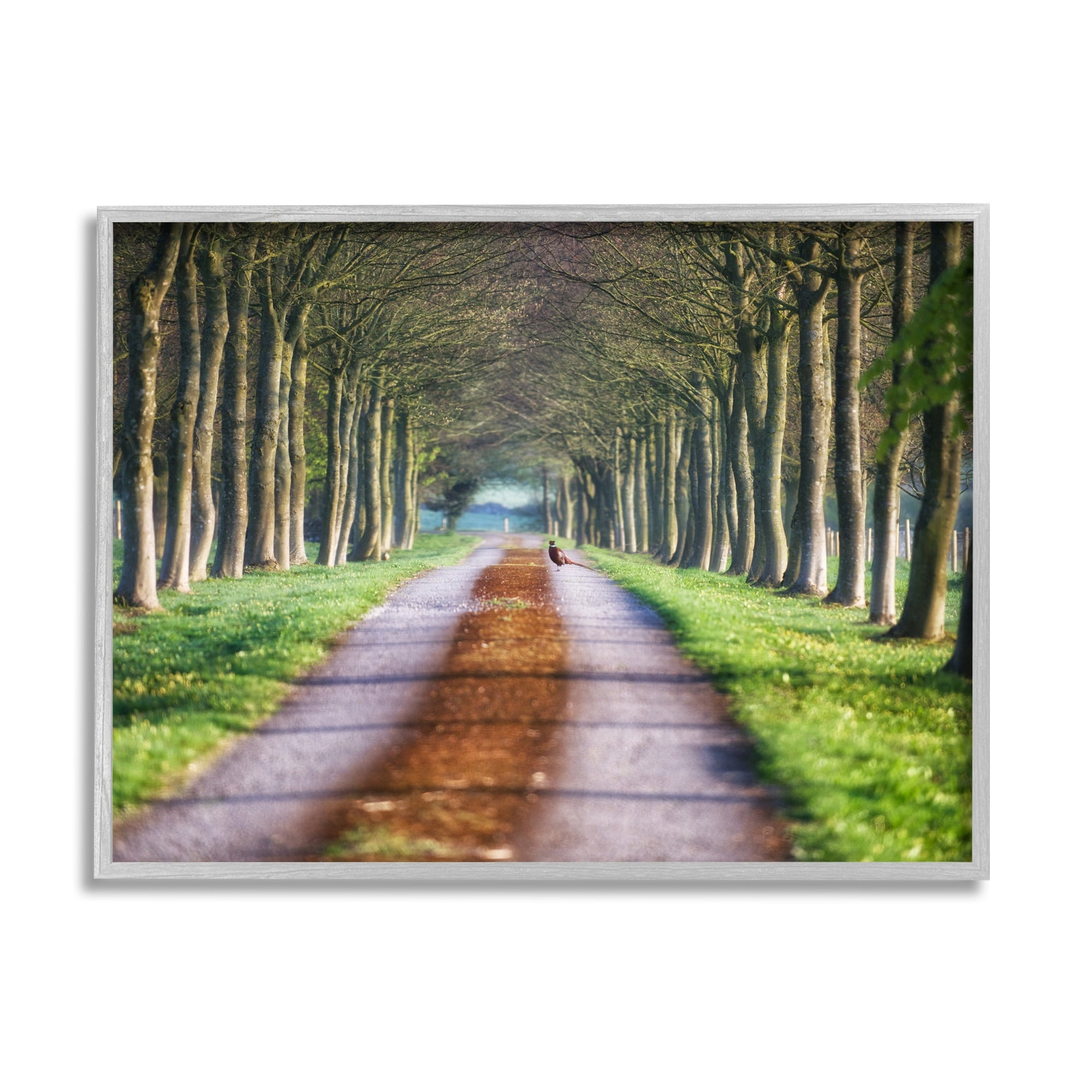 Stupell Industries Aligned Trees Along Orchard Path Nature Tunnel Photograph Gray Framed Art Print Wall Art, Design by James Dobson