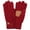 Burgundy, variant on CC Touchscreen Gloves