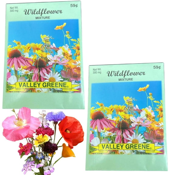 Valley Greene 300mg Wildflower Seed Mix:2CT