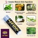 thumbnail image 2 of Bálsamo labial Amish Origins Lip Doc SPF 15 Medicado (paquete de 3), 2 of 6