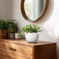 thumbnail image 7 of Ordivic 4 inch White Textured Ceramic Planter Pot with Drainage Hole & Plug, Small Decorative Indoor Flower Pot for Succulent Cactus Houseplant,Desktop Home Office Table Decor, 7 of 7