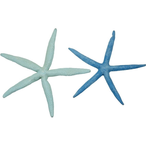 5 Extra Large Dyed Pastel Finger Pencil Natural Starfish 8 10 Green Bue Set Of 5 Walmart Com Walmart Com