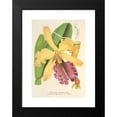 thumbnail image 2 of Charles Antoine Lemaire 13x18 Black Modern Framed Museum Art Print Titled - Cattleya Dowiana (1854-1896), 2 of 5