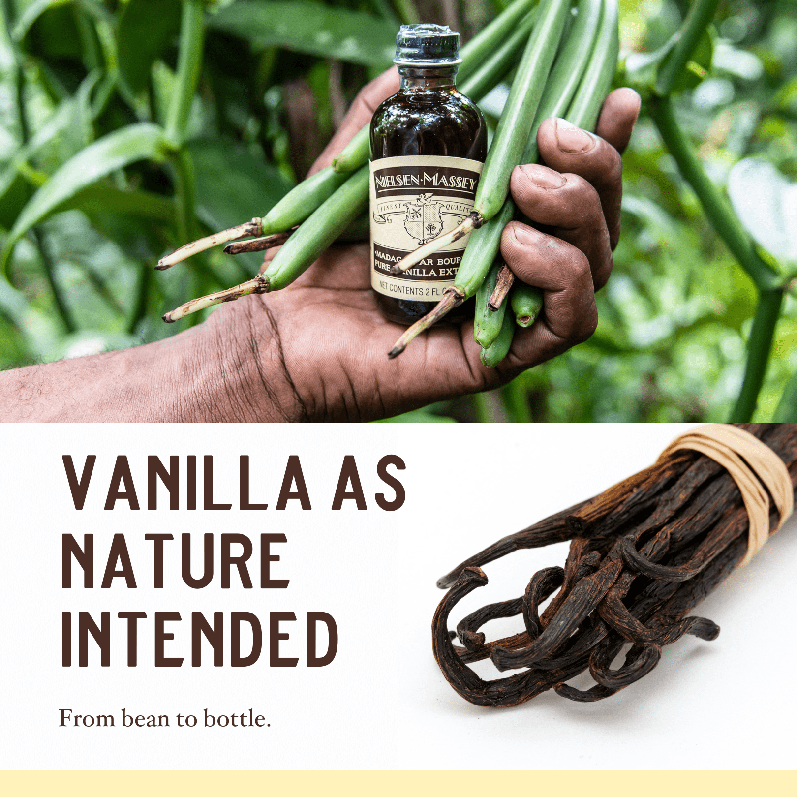 Nielsen-Massey Madagascar Bourbon Pure Vanilla Bean Paste, 32 oz