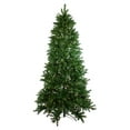 thumbnail image 2 of 7.5' Pre-Lit Led Instant Connect Neola Fraser Fir Artificial Christmas Tree - Dual Lights, 2 of 7