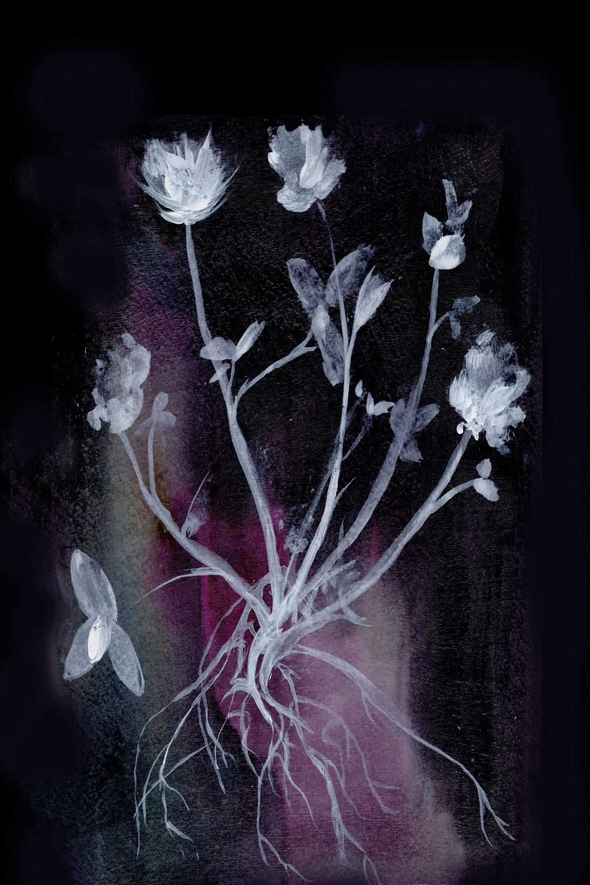 "Dark Garden" Painting Print on Wrapped Canvas