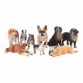 thumbnail image 1 of Set de figuras de perros realistas de PVC en miniatura, 9 piezas, 1 of 3