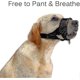 thumbnail image 5 of Nylon Soft Dog Muzzle, Anti-bit, Anti-bark, Anti-chew, Adjustable Ring (XL, Black), 5 of 5