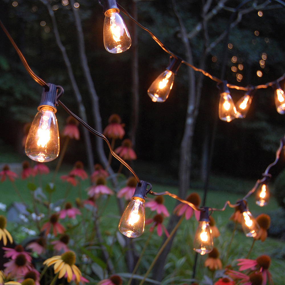 LumaBase Electric String Lights with 10 Edison Bulbs - image 4 of 9
