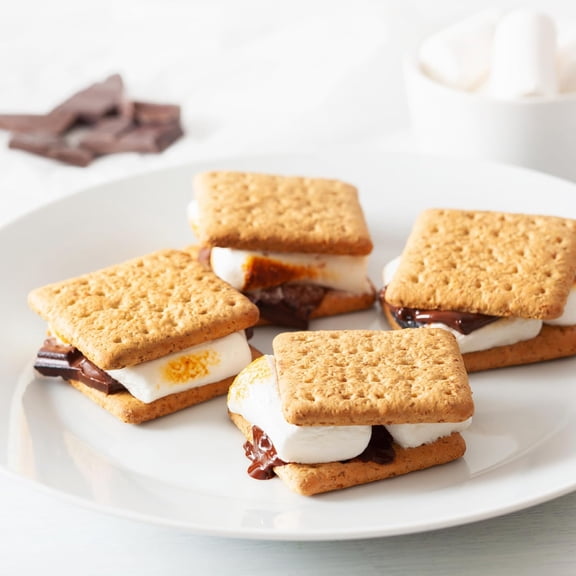 Indoor Electric S'Mores Maker with 4 Trays and Roasting Forks, Flameless for Family Fun