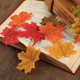 thumbnail image 2 of 2x Hojas de arce artificiales hojas de , 200 piezas de hojas de arce para halloween / acción de gracias / boda / / decoración navideñ Yuyangstore Boda Arce Hojas De Otoño, 2 of 7