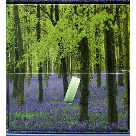 Bluebells (General merchandise)