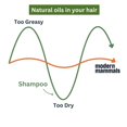 thumbnail image 3 of Champú Alternative Modern Mammals Magic Mud para hombre, 960 ml, 3 of 7