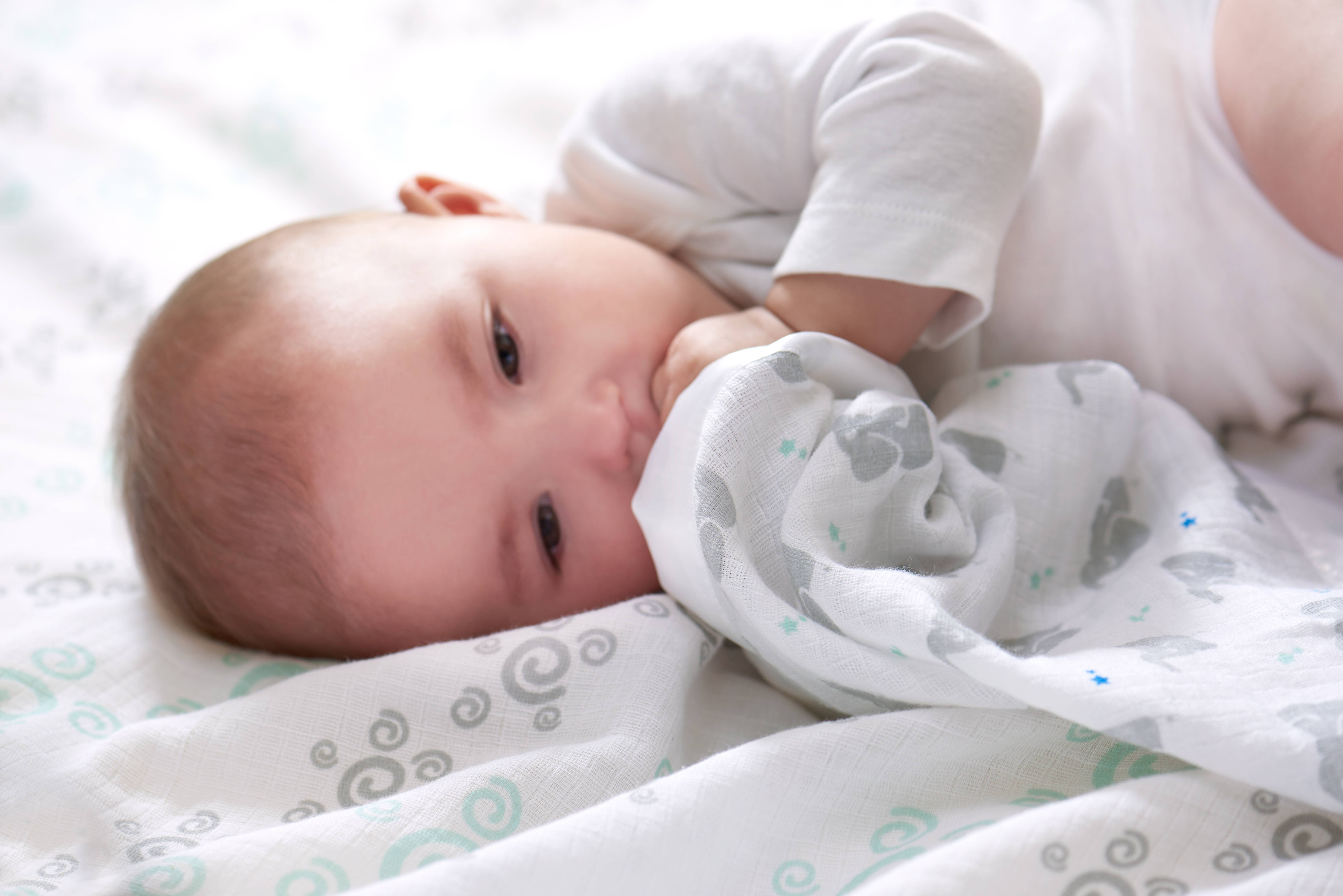 Aden swaddleplus top