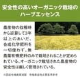 thumbnail image 2 of SHISEIDO Super Mild Hair Conditioner 600ml, 2 of 5