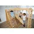 Avenlur Chestnut The Ultimate Indoor 7in1 Playset and Foldable