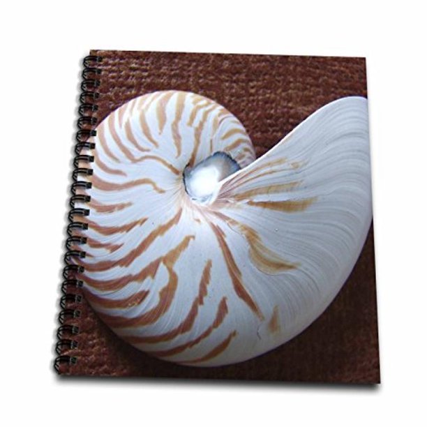 3drose Db 186 1 Nautilus Shell Ii Drawing Book 8 By 8 Inch Walmart Com