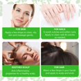 thumbnail image 5 of Moringa Seed Oil by Aliver – 100% Natural Cold Pressed Moringa Oil - for Face, Skin Care, Hair Care, Scalp Massage & Body Massage - 2Pack, 5 of 10