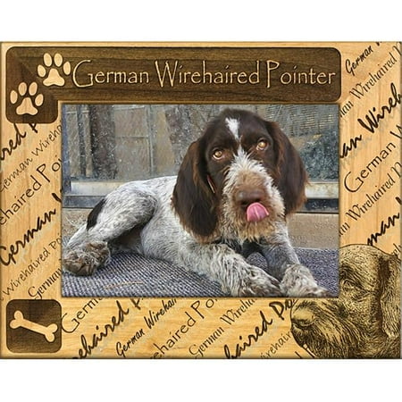 Giftworks Plus DBA0084 German Wirehaired Pointer, Alder Wood Frame, 5 x 7 In