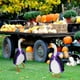 thumbnail image 4 of Herramientas y mejoras para el hogar: conjunto de sombrero y capa de bruja de Halloween, perfecto para decorar puertas de ganso de 23 pulgadas., 4 of 7