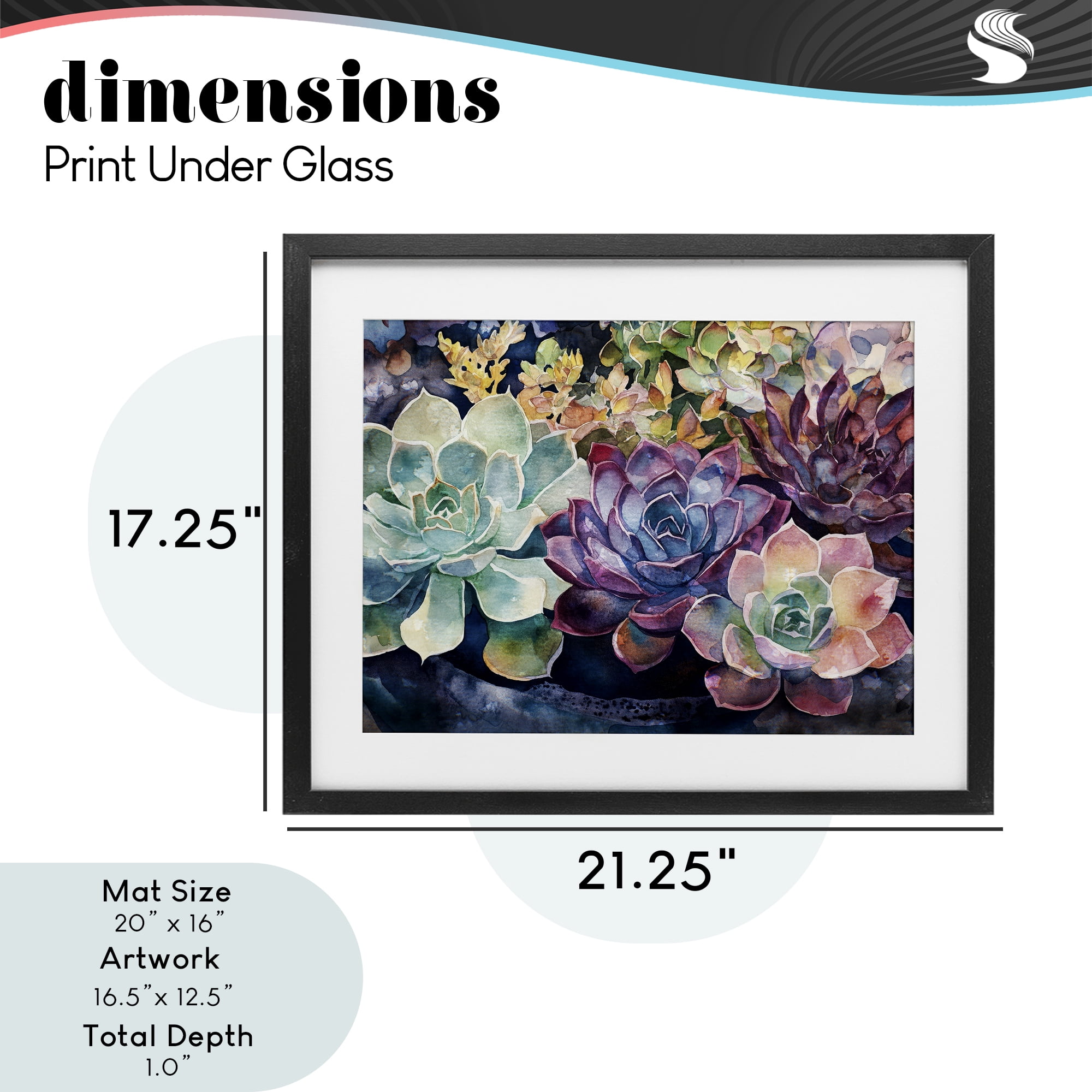 Stupell Industries Tutti Succulents Collection Black Framed Print Under Glass, design by Svetlana Aleynikova