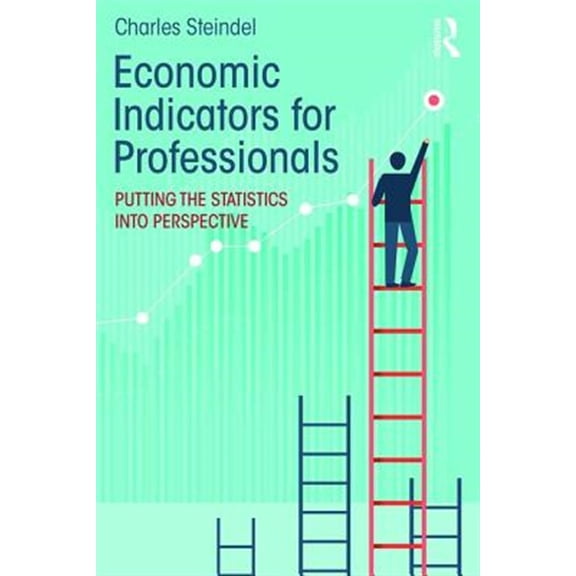 Pre-Owned Economic Indicators for Professionals: Putting the Statistics into Perspective (Paperback)