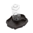 thumbnail image 2 of Cuenco de agua para reptiles, bebedero para reptiles, accesorios de alimentación, comedero para mascotas, hidratador automático para gecos. Café oscuro, 2 of 8