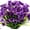 12PCS-Purple, variant on 2026 New UV-Resistant Outdoor Flowers – Zero Maintenance, Spring Artificial Flowers for Outdoors, UV Resistant Artificial Outdoor Plants, Waterproof, Windproof (12PCS-Mix)