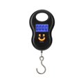thumbnail image 5 of Balance Électronique Suspendue 50Kg 10g Balance Numérique LCD Rétroéclairée Poids de Pêche Balances de Bagages, Facile à Utiliser, 5 of 5