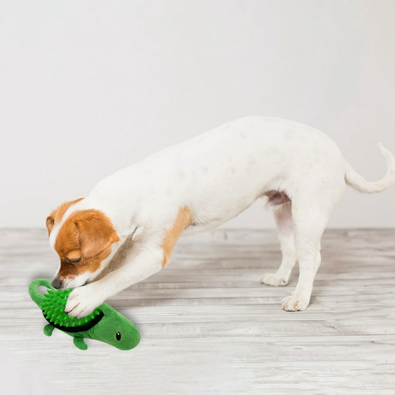 Sensory Caterpillar - Squeaky Dog Toys - Soft Natural Rubber (Latex) -  Puppies - Small & Medium Breeds - Complies with Same Safety Standards as  Baby