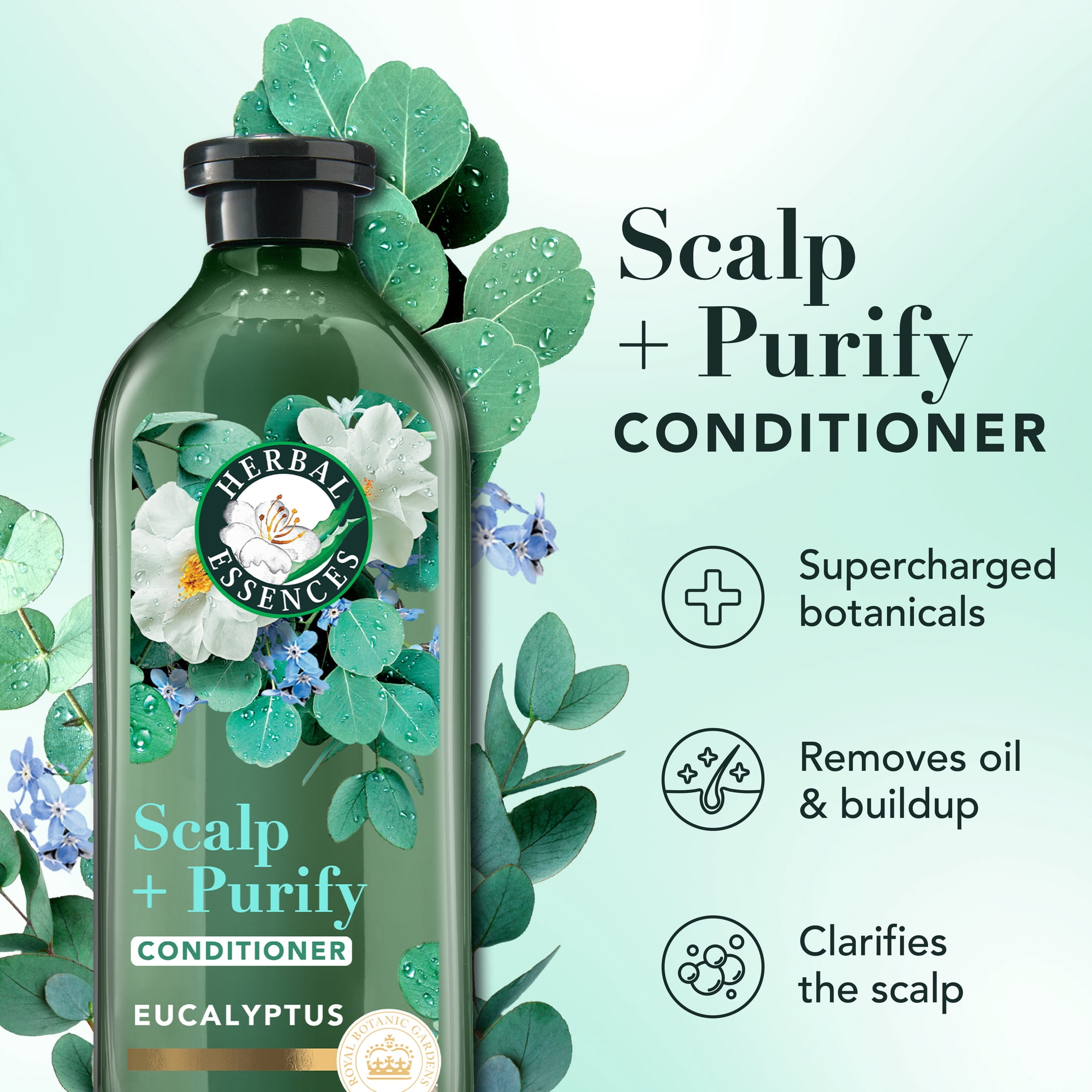 Herbal Essences Scalp + Purify Eucalyptus Sulfate Free Conditioner - 13.5 fl oz