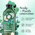 thumbnail image 4 of Herbal Essences Scalp + Purify Eucalyptus Sulfate Free Conditioner - 13.5 fl oz, 4 of 14