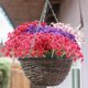 thumbnail image 3 of Flores artificiales Usmilegift, 10 paquetes, resistentes a los rayos UV (rosa roja), 3 of 6