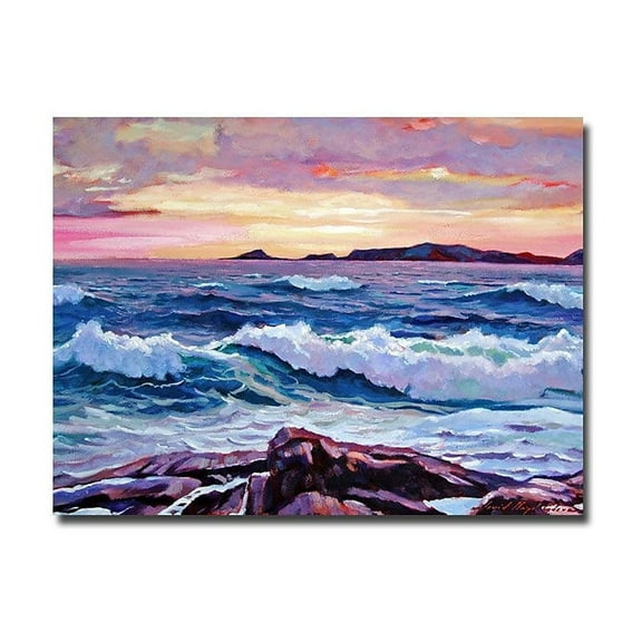 Trademark Art "California Sunset" Canvas Wall Art by David Lloyd Glover