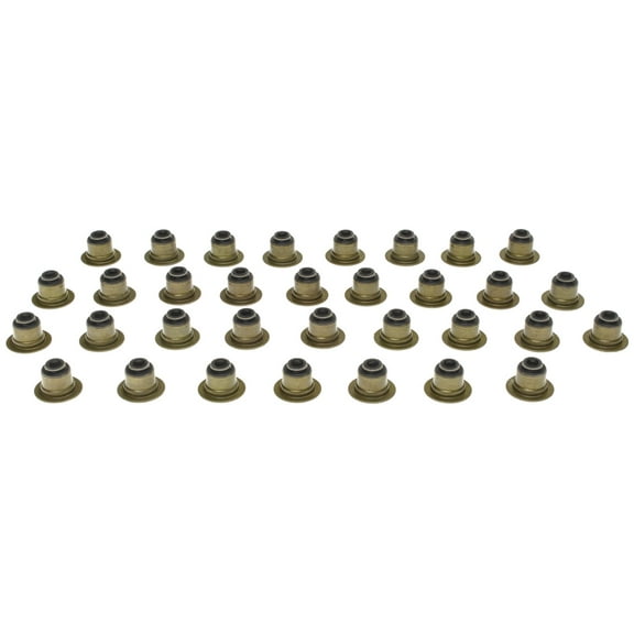 Mahle Engine Valve Stem Oil Seal Set SS46062