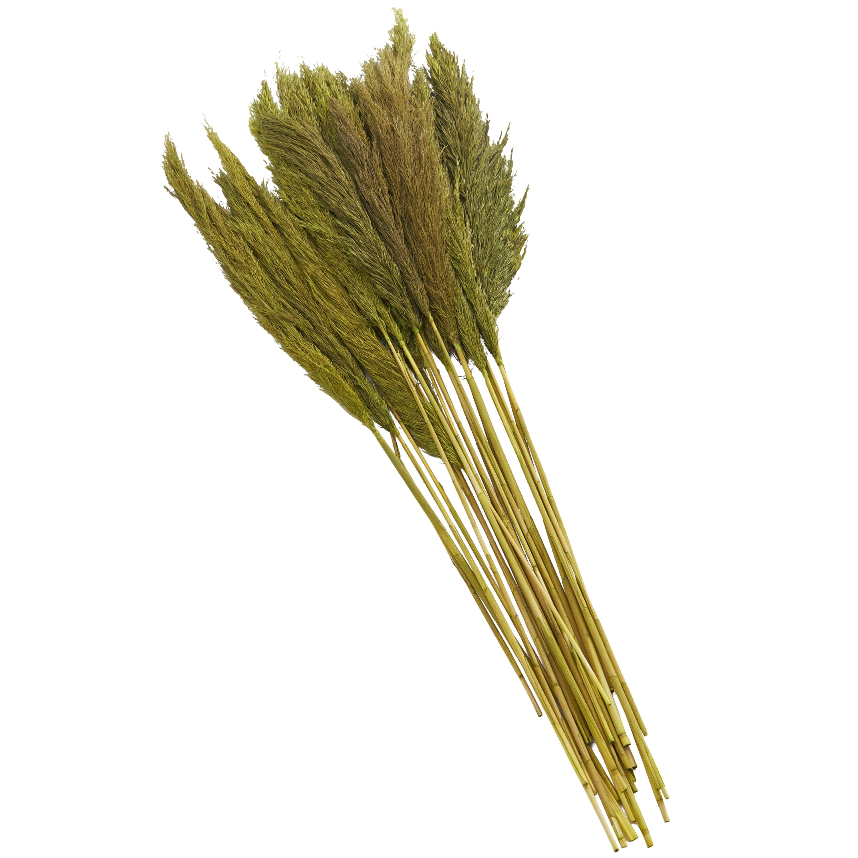 35" Dried Plant Natural Foliage Pampas Bouquet with Long Stems, by DecMode