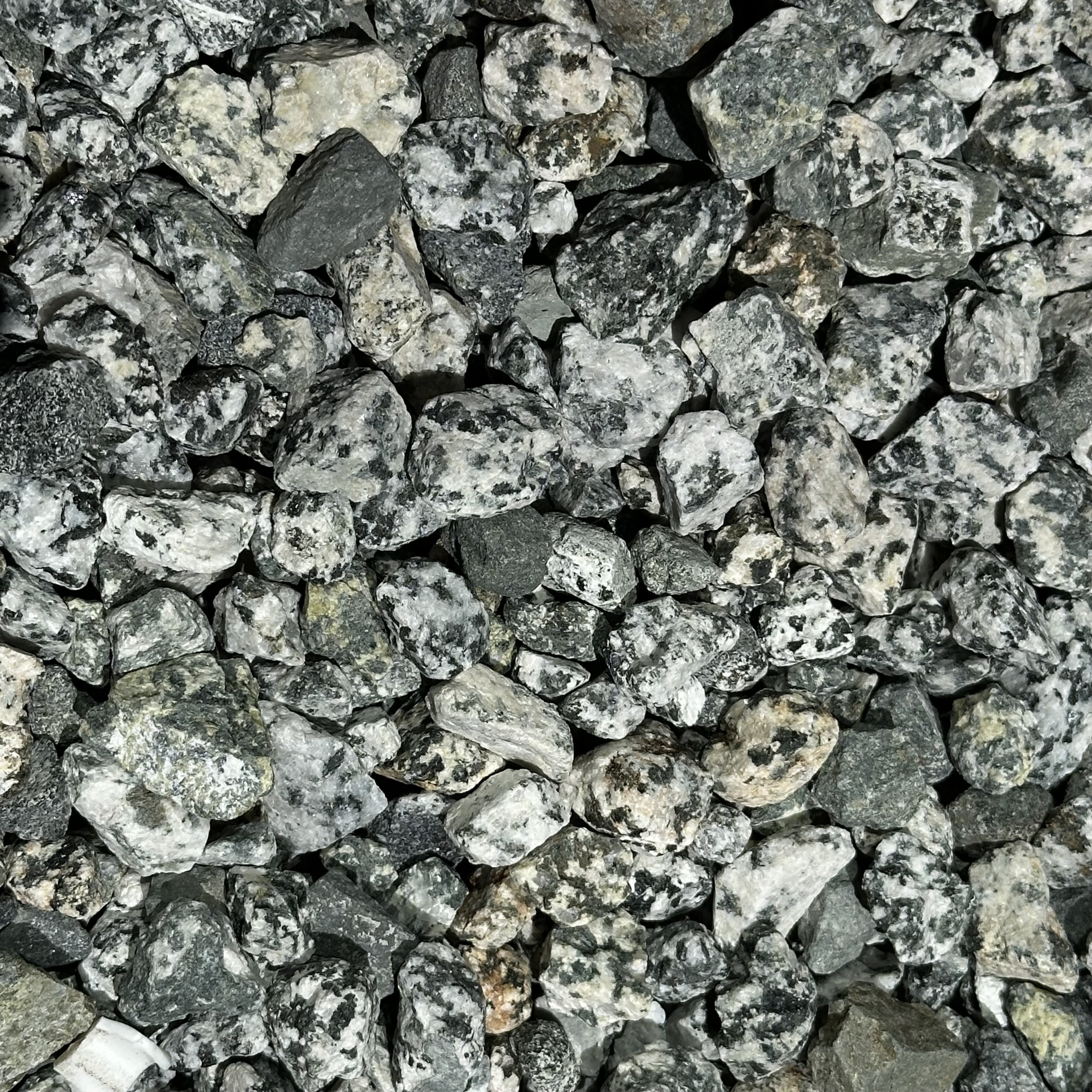 10 Pounds of Dalmatian Stones 0.5