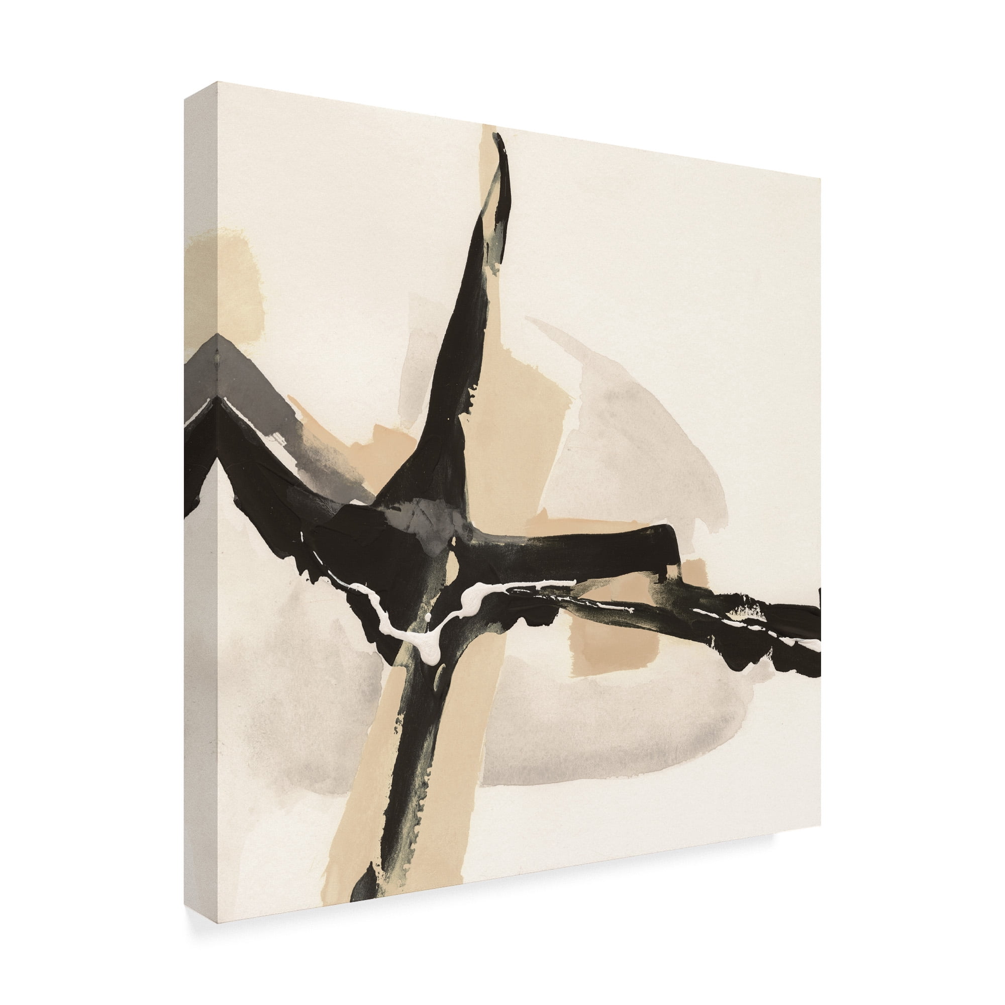 Creamy Tan I' Canvas Art by Chris Paschke