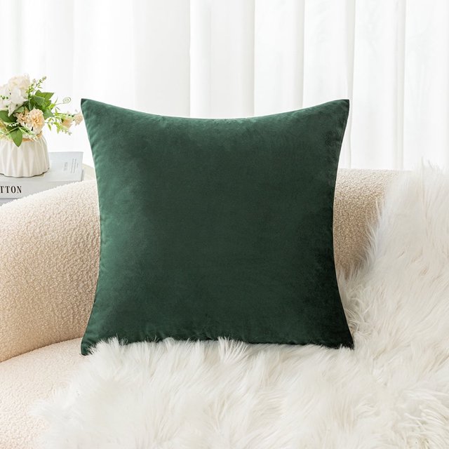 Cterwk - Funda de cojín de terciopelo súper suave, cuadrada, decorativa, sólida y gruesa, para sofá, sala de estar, 40,6 x 40,6 cm