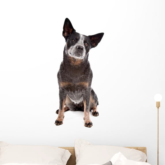 Australian Cattle Dog Wall Decal by Wallmonkeys Peel and Stick Graphic (36 in H x 24 in W) WM112398